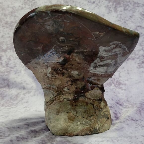 Ammonite & Goniatte Fossil Free Standing - Picture 6 of 12